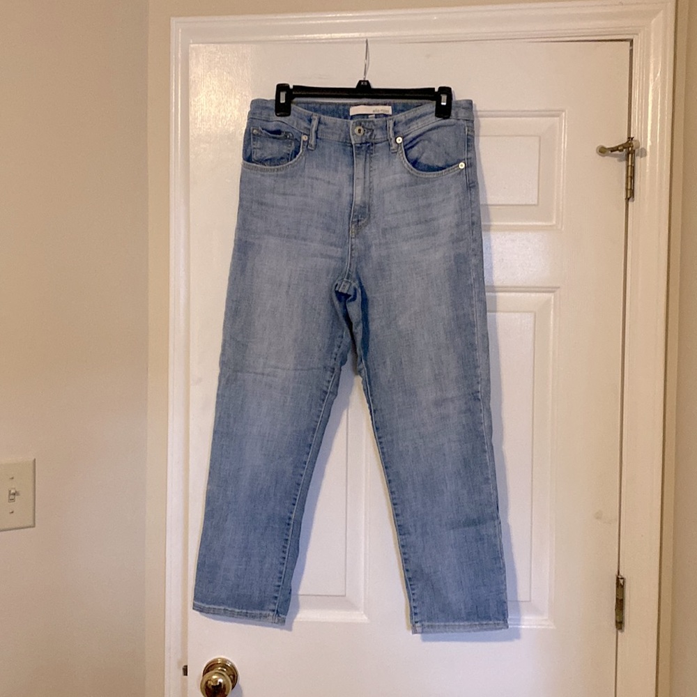 ELLA MOSS high rise vintage straight cropped ankle denim size 29/8